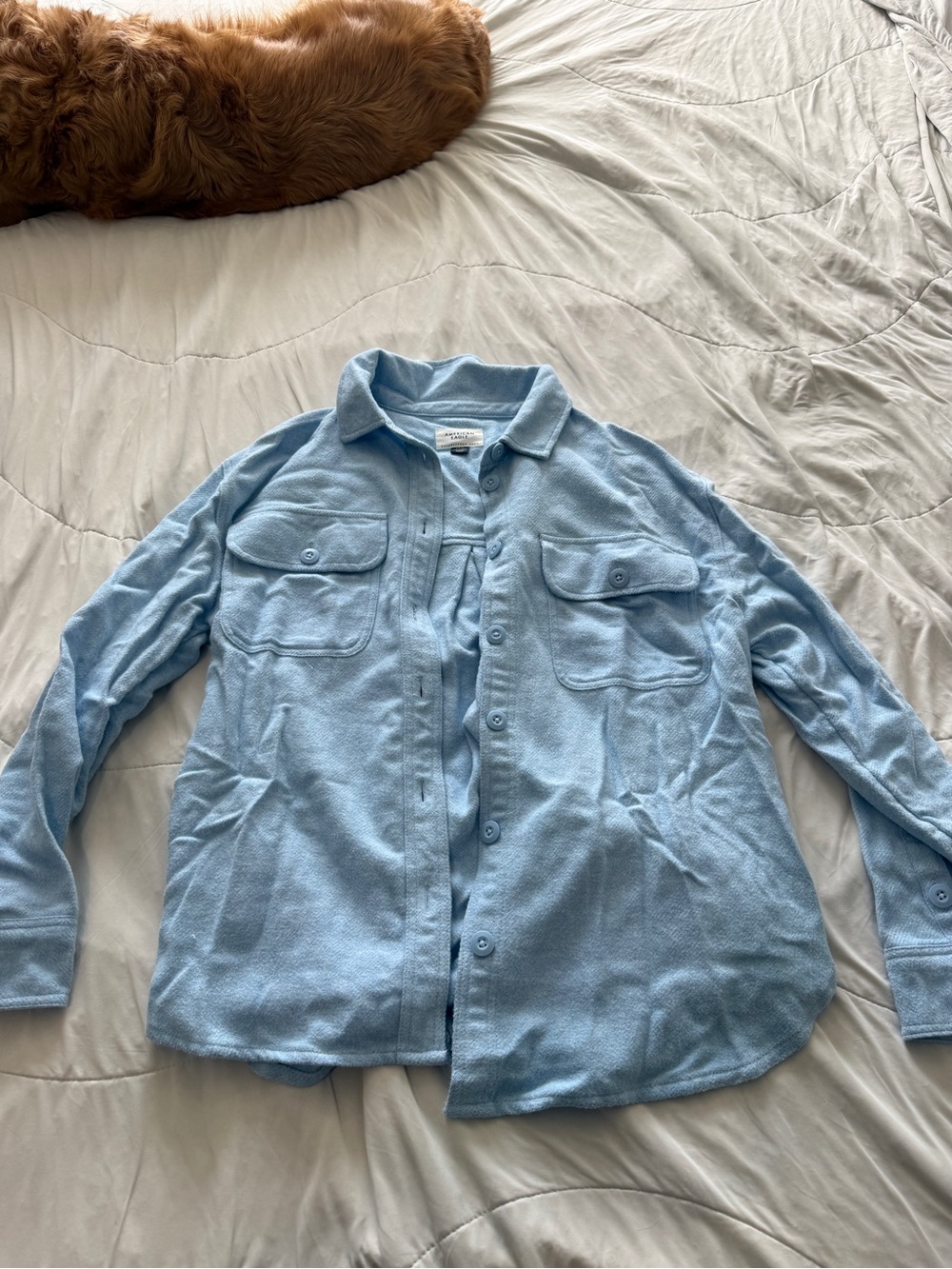 American Eagle Outfitters Light Blue Shirt Jacket